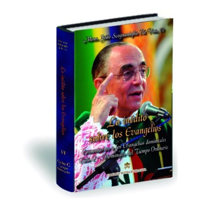Lo inédito sobre los Evangelios - Volumen VI