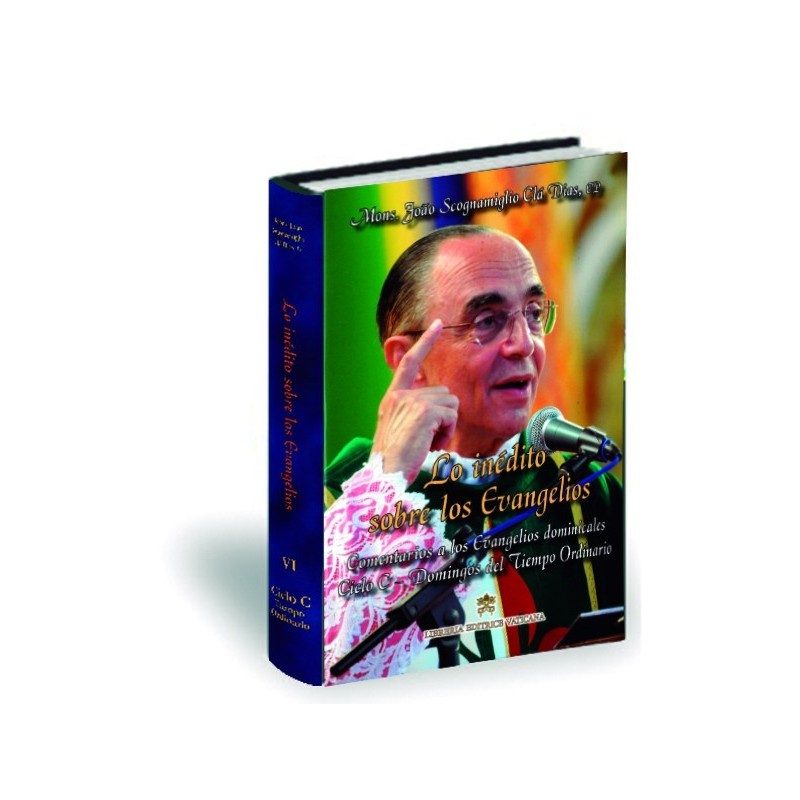 Lo inédito sobre los Evangelios - Volumen VI