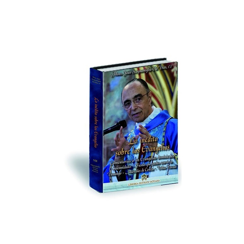 Lo inédito sobre los Evangelios - Volumen VII